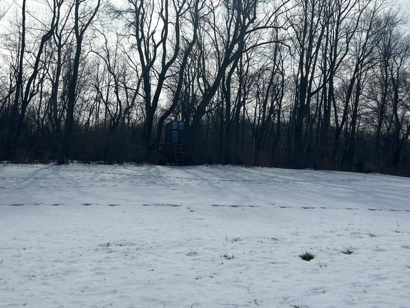 5018 South Rumsey Road Pittsford, MI 49271 - Photo 14 of 16 way14