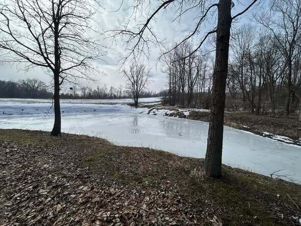 5018 South Rumsey Road Pittsford, MI 49271 - Photo 2 of 16 Way3