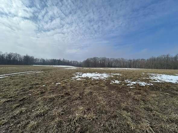 5018 South Rumsey Road Pittsford, MI 49271 - Photo 3 of 16 Way2