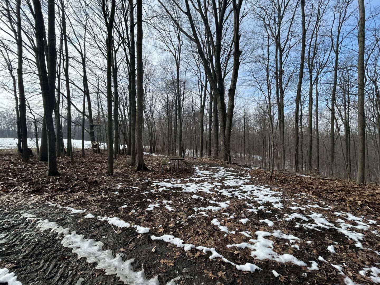 5018 South Rumsey Road Pittsford, MI 49271 - Photo 5 of 16 Way5