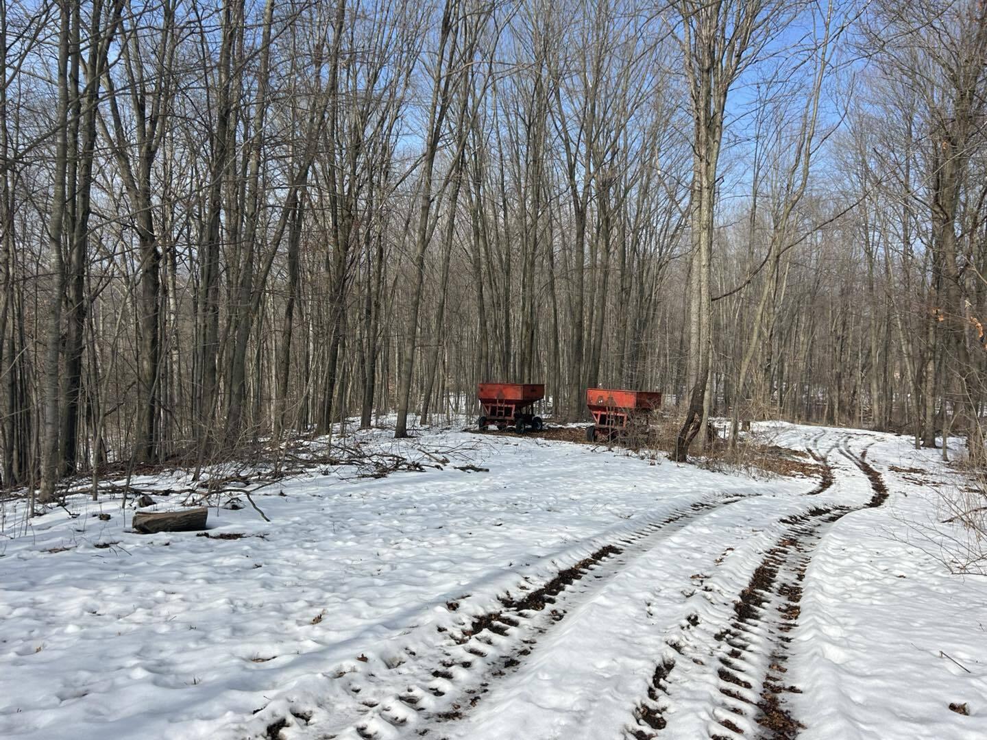 5018 South Rumsey Road Pittsford, MI 49271 - Photo 6 of 16 Way6