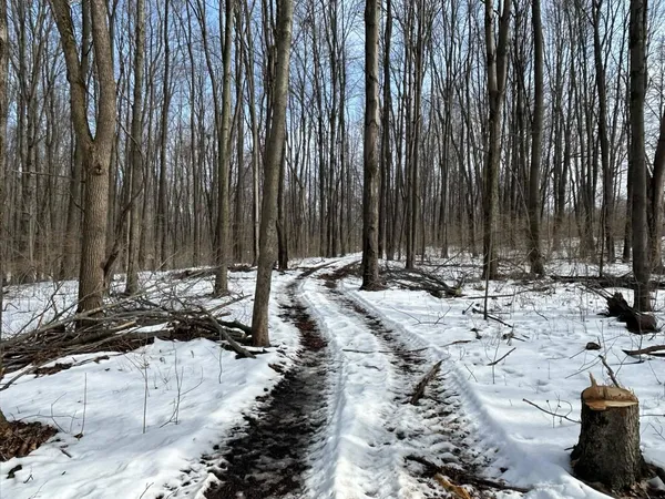 $299,900 | 5018 South Rumsey Road, Pittsford, MI 49271
