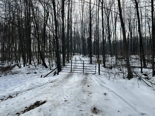 $299,900 | 5018 South Rumsey Road, Pittsford, MI 49271