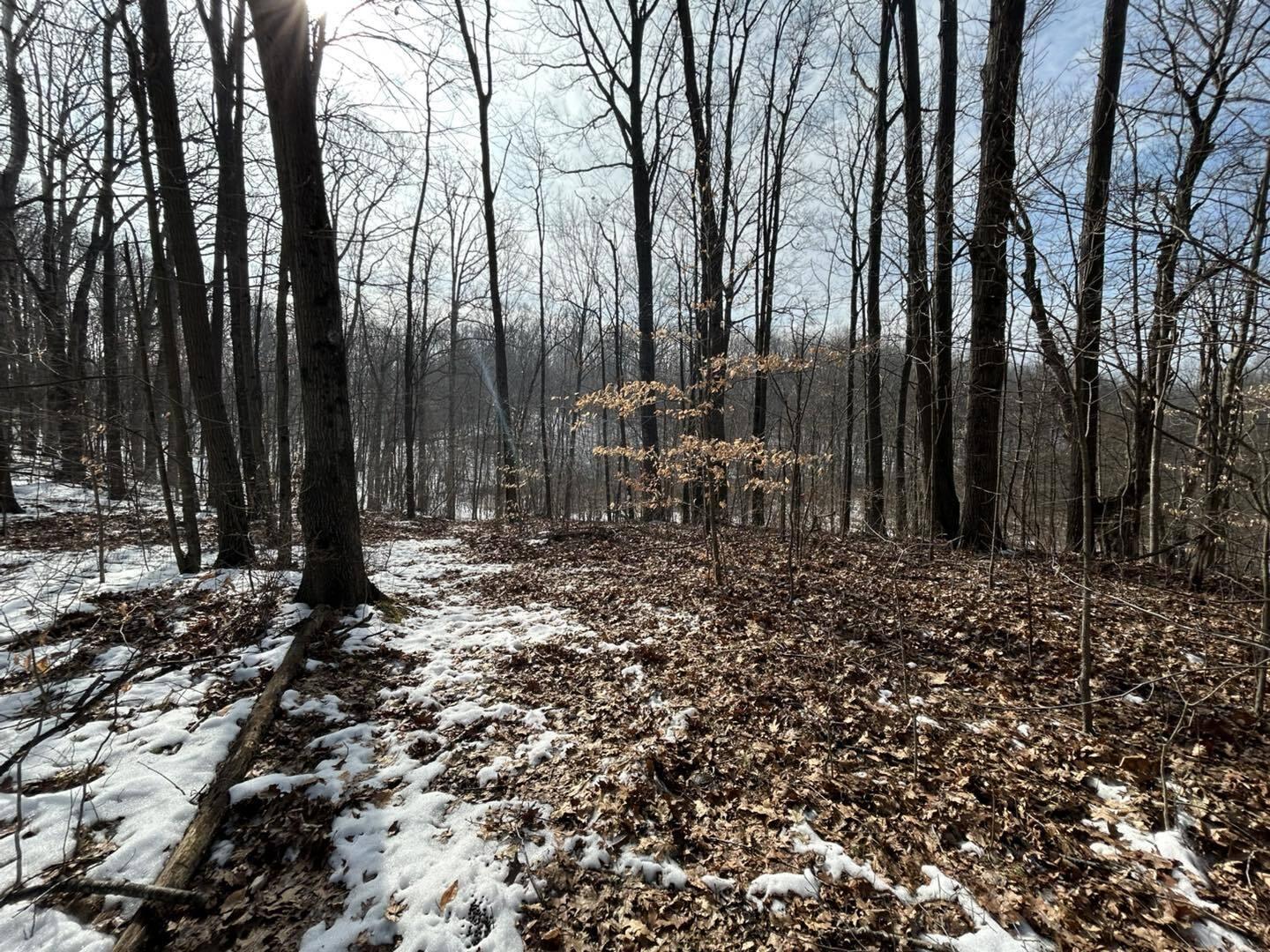 5018 South Rumsey Road Pittsford, MI 49271 - Photo 9 of 16 Way9