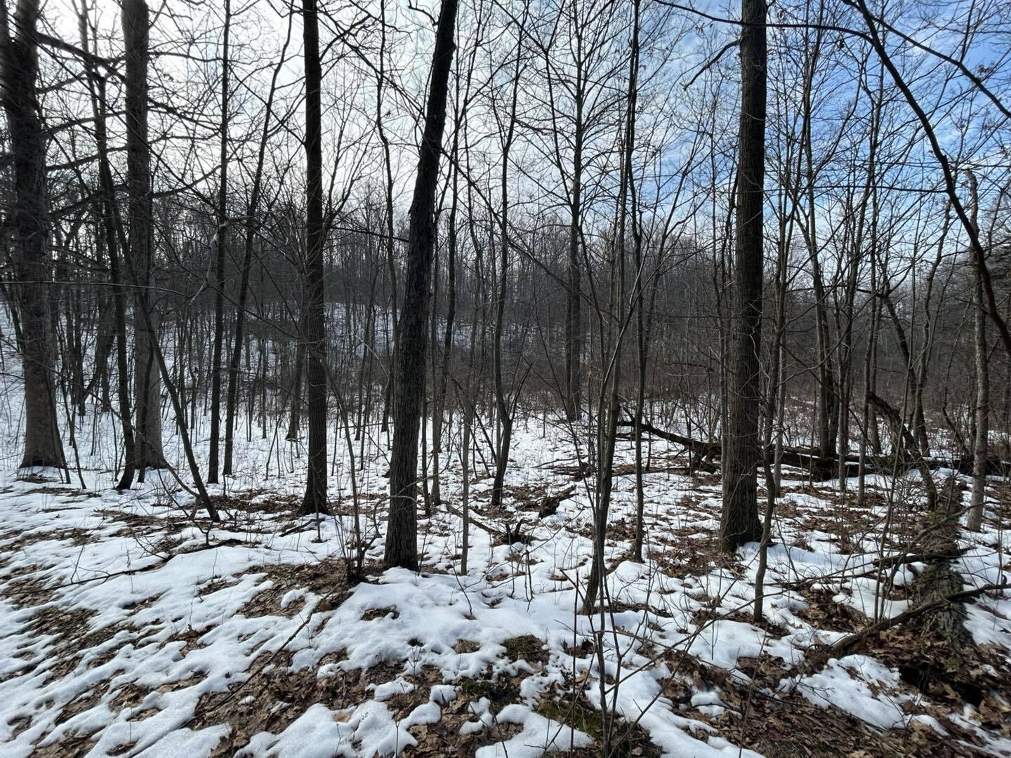 5018 South Rumsey Road Pittsford, MI 49271 - Photo 10 of 16 Way10