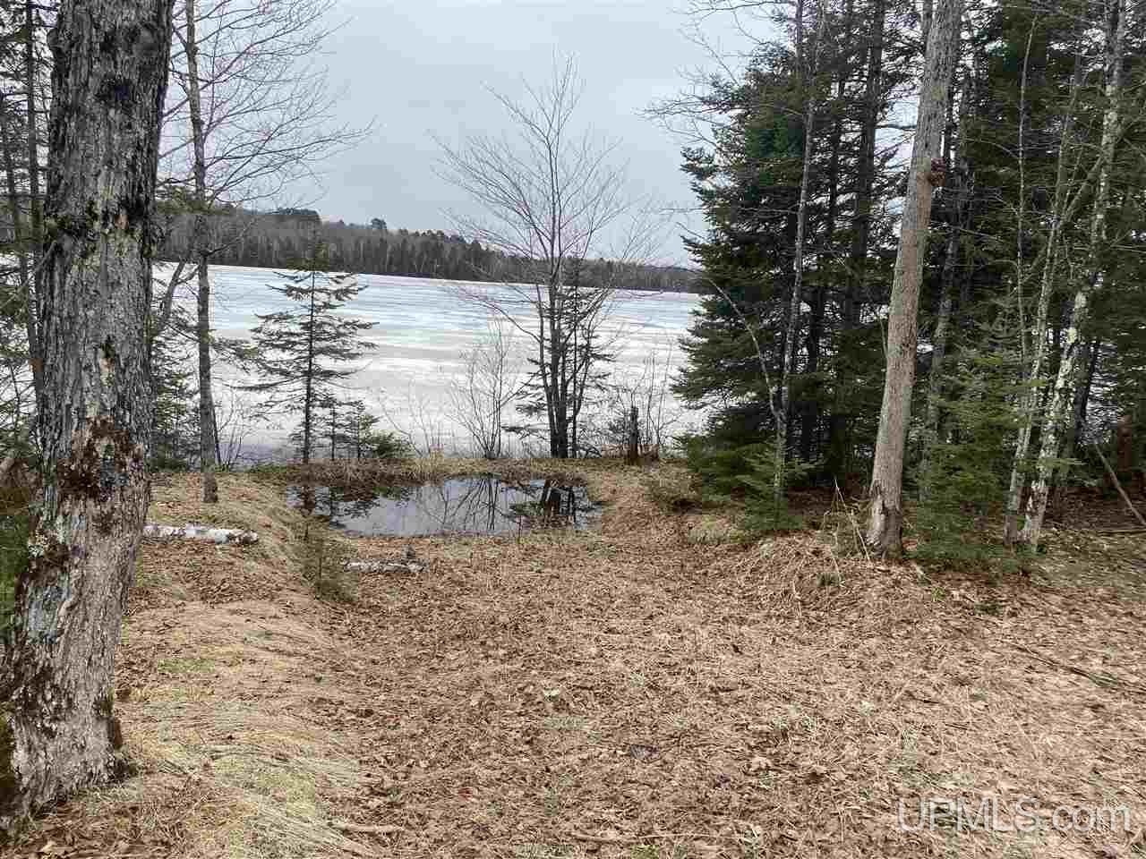 Tbd West Tamarack Lake Road, Unit 17 Iron River, MI 49935 - Photo 20 of 45