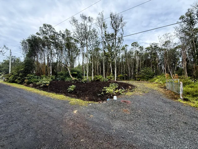 a view of backyard with green space