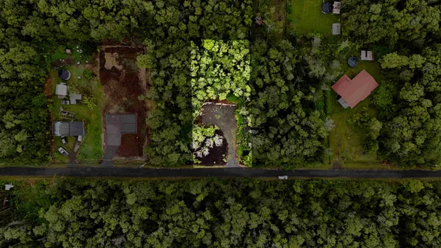 a view of a garden with plants