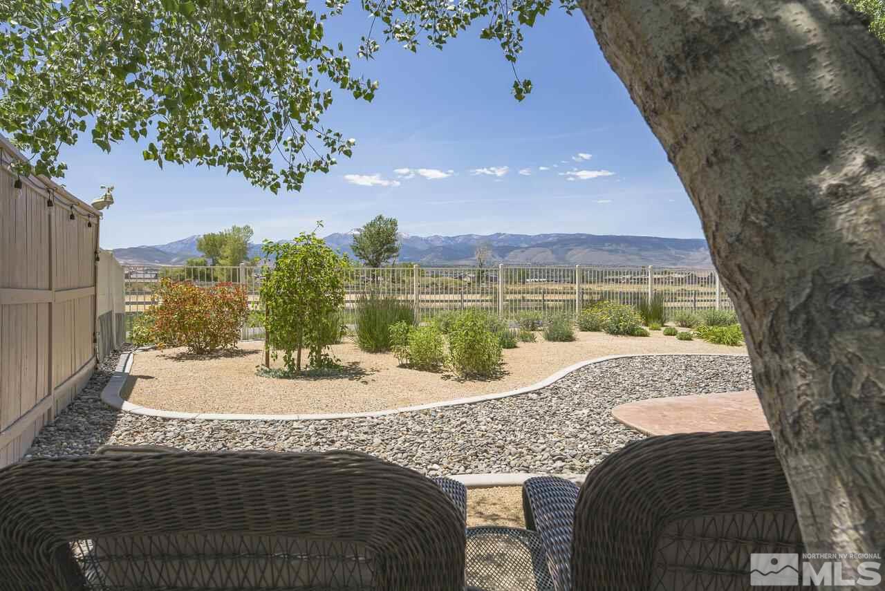 10669 Fire Poppy Circle Reno, NV 89521 - Photo 20 of 24 a view of a backyard and a house