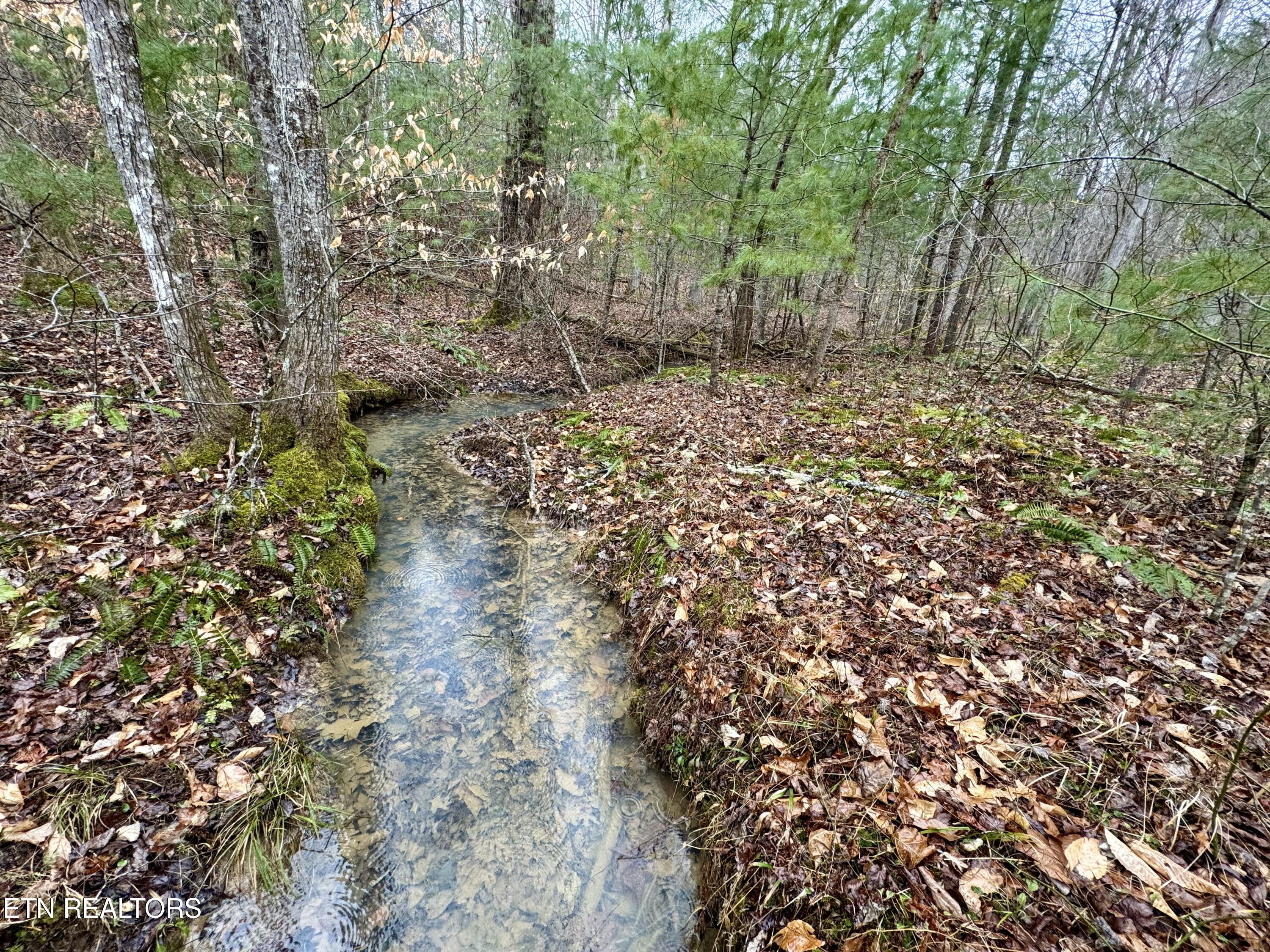 Coal Hill Road Sunbright, TN 37872 - Photo 3 of 34 tempImagexFTqQh