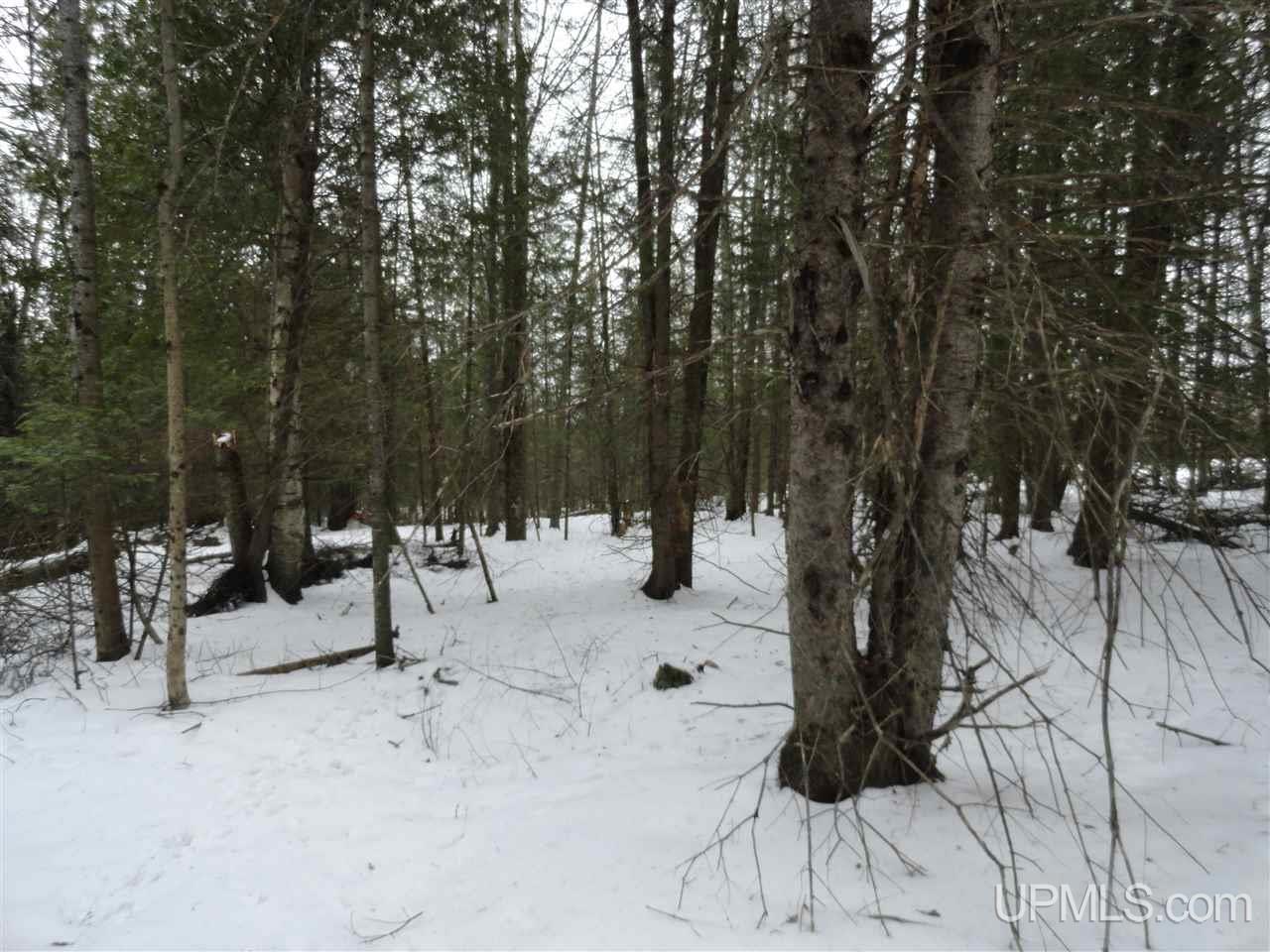 416 (23rd Road Gladstone, MI 49837 - Photo 15 of 36