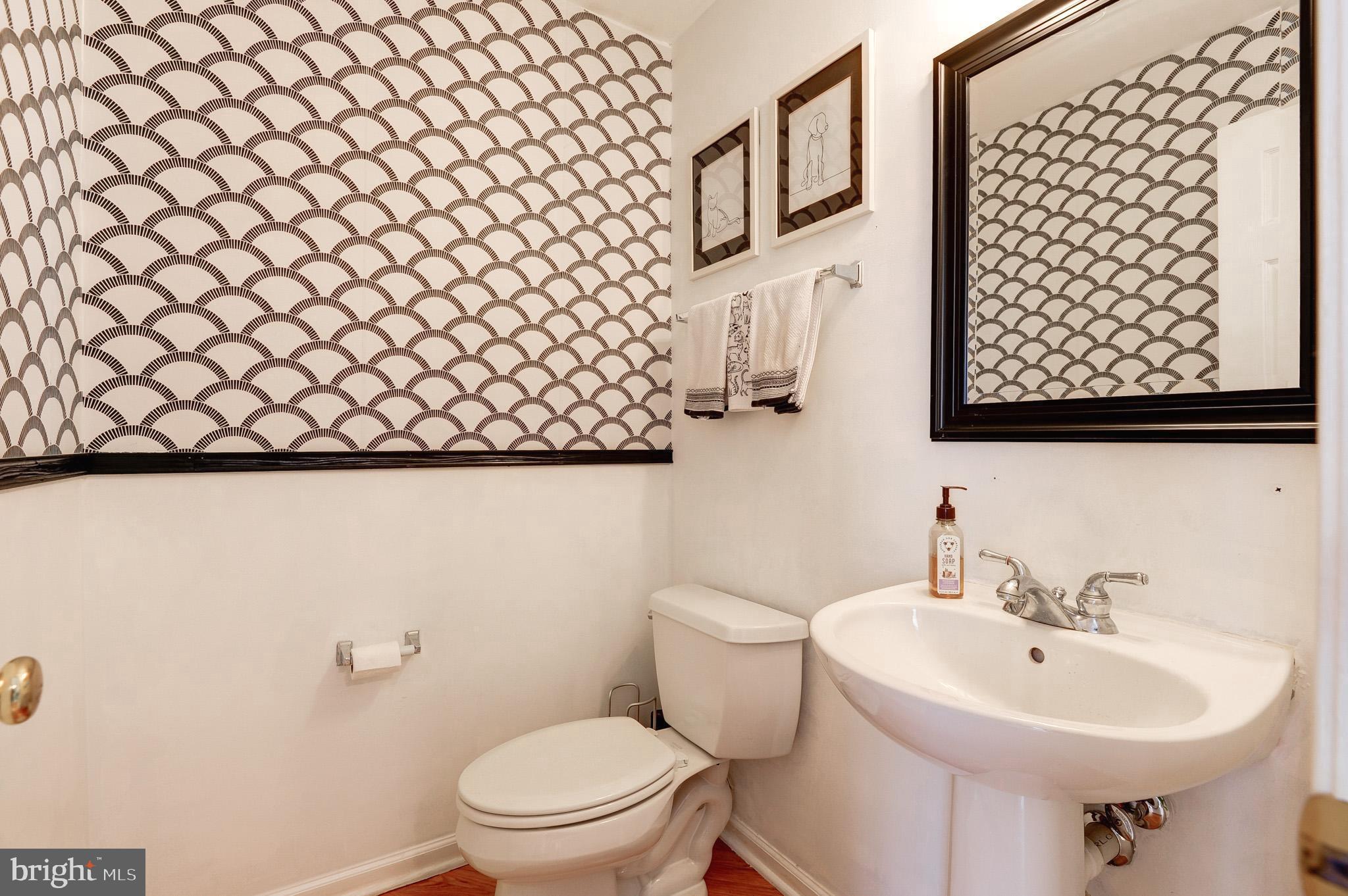 44167 Tippecanoe Terrace Ashburn, VA 20147 - Photo 18 of 56 a bathroom with a sink a mirror and a toilet