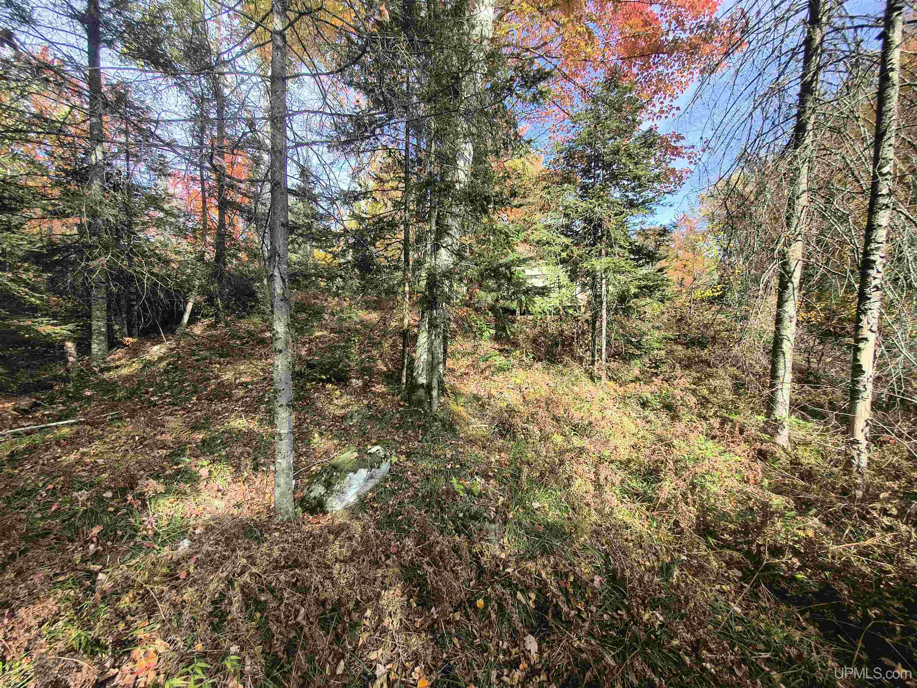 1 Rd Amasa Mi 49903 Road Crystal Falls, MI 49920 - Photo 17 of 33