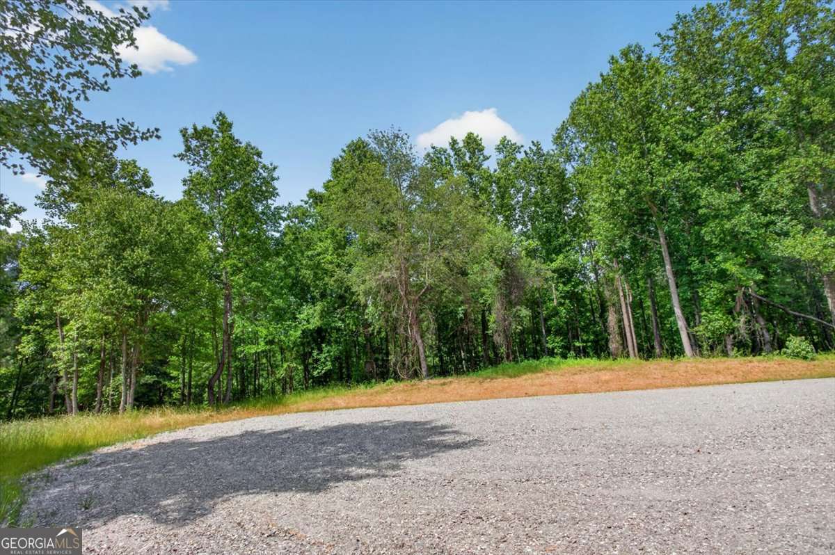 0 Conns Creek Road, Unit 2 Ball Ground, GA 30107 - Photo 27 of 57