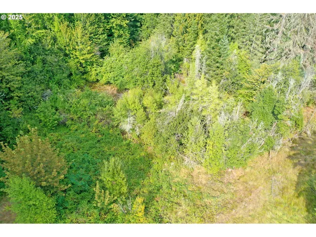 a view of a big yard with lots of green bushes