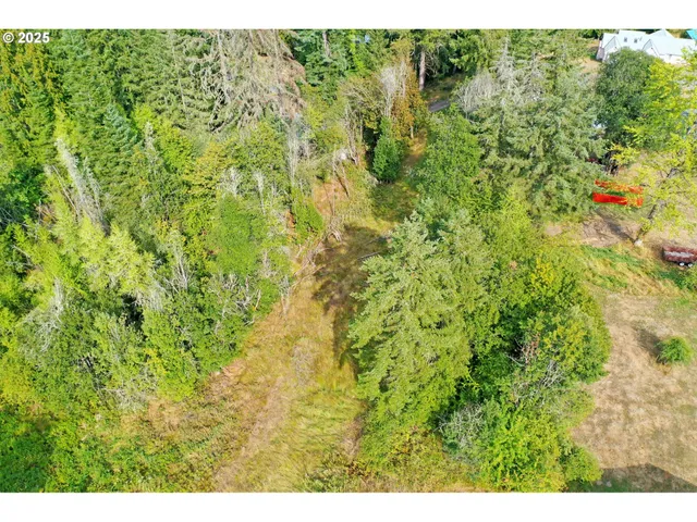 a view of a yard with plants