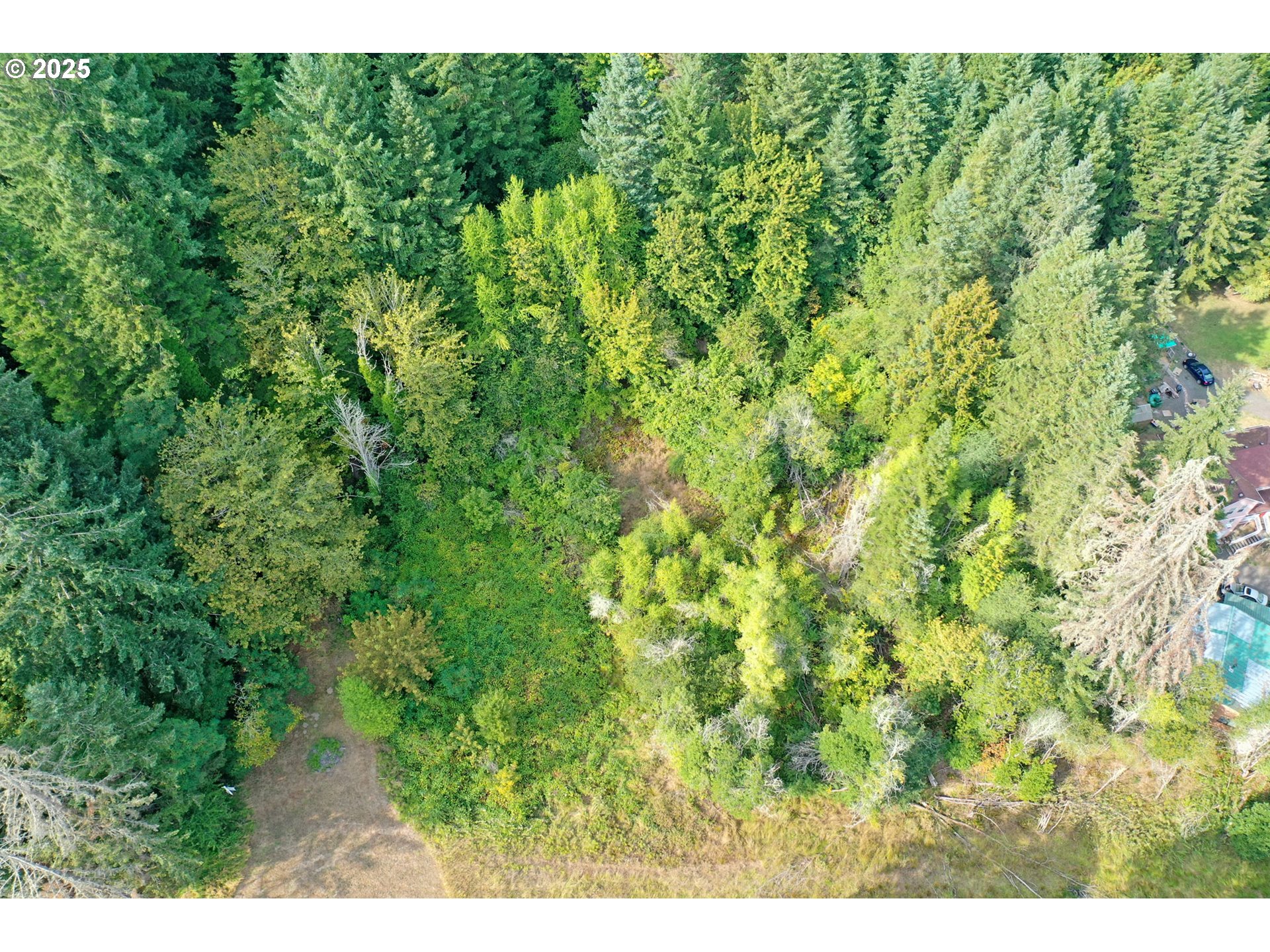 5th And 6th Street Vernonia, OR 97064 - Photo 14 of 29 a view of a lush green forest