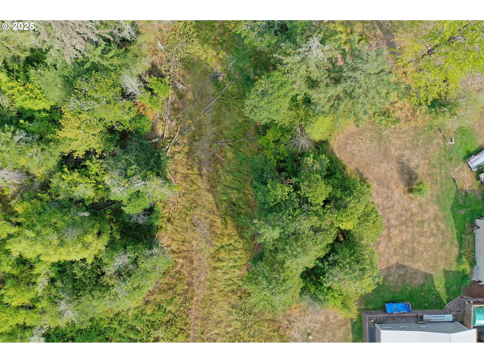 5th And 6th Street Vernonia, OR 97064 - Photo 20 of 29 a view of a garden