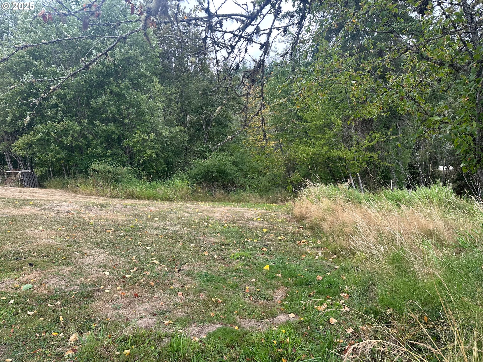 5th And 6th Street Vernonia, OR 97064 - Photo 2 of 29 a view of a yard with a tree