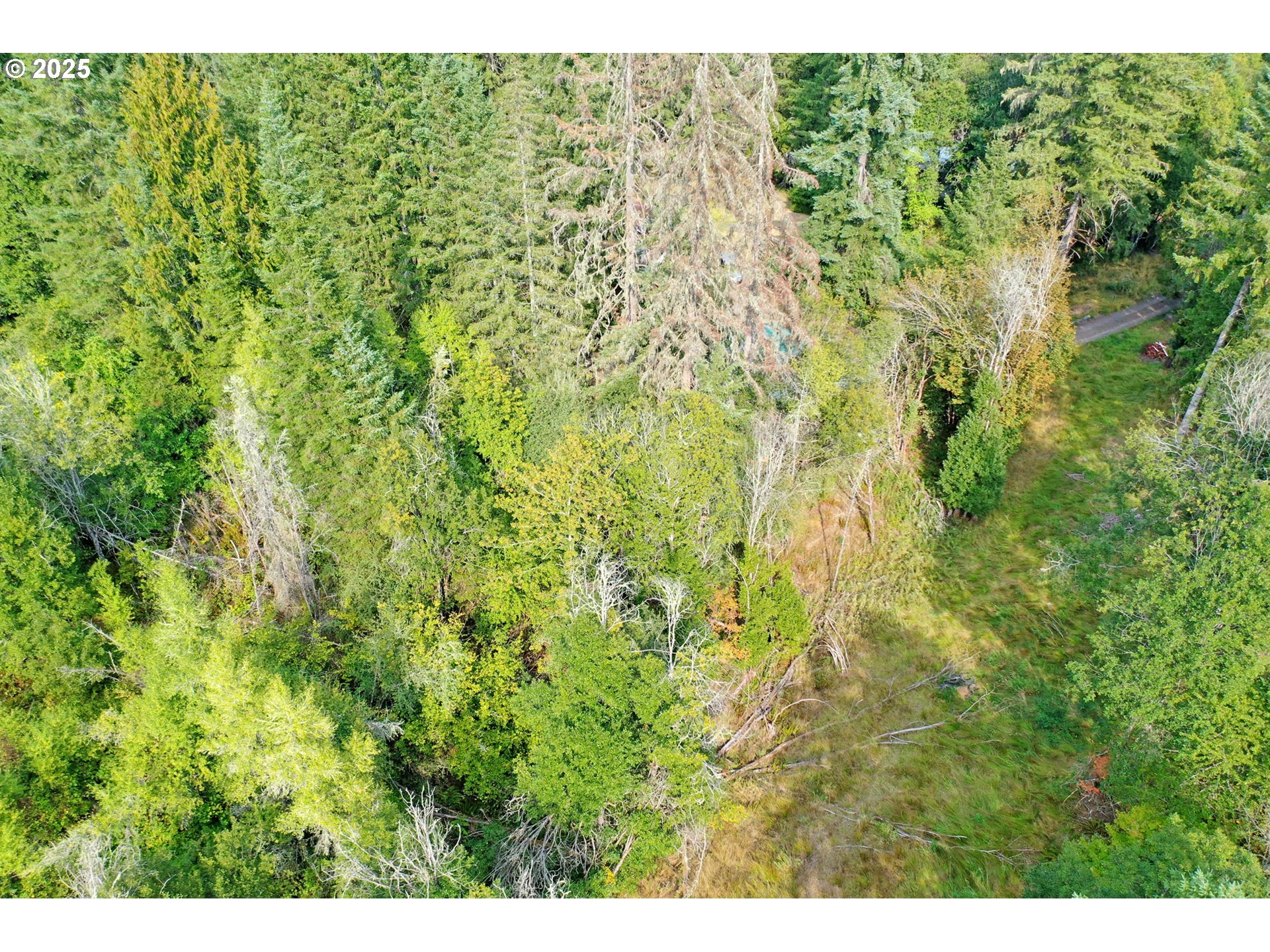 5th And 6th Street Vernonia, OR 97064 - Photo 22 of 29 a view of a big yard with an outdoor space