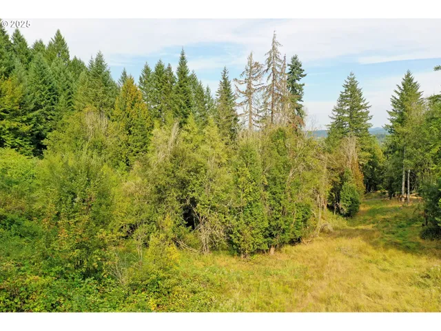 a view of a yard with a tree