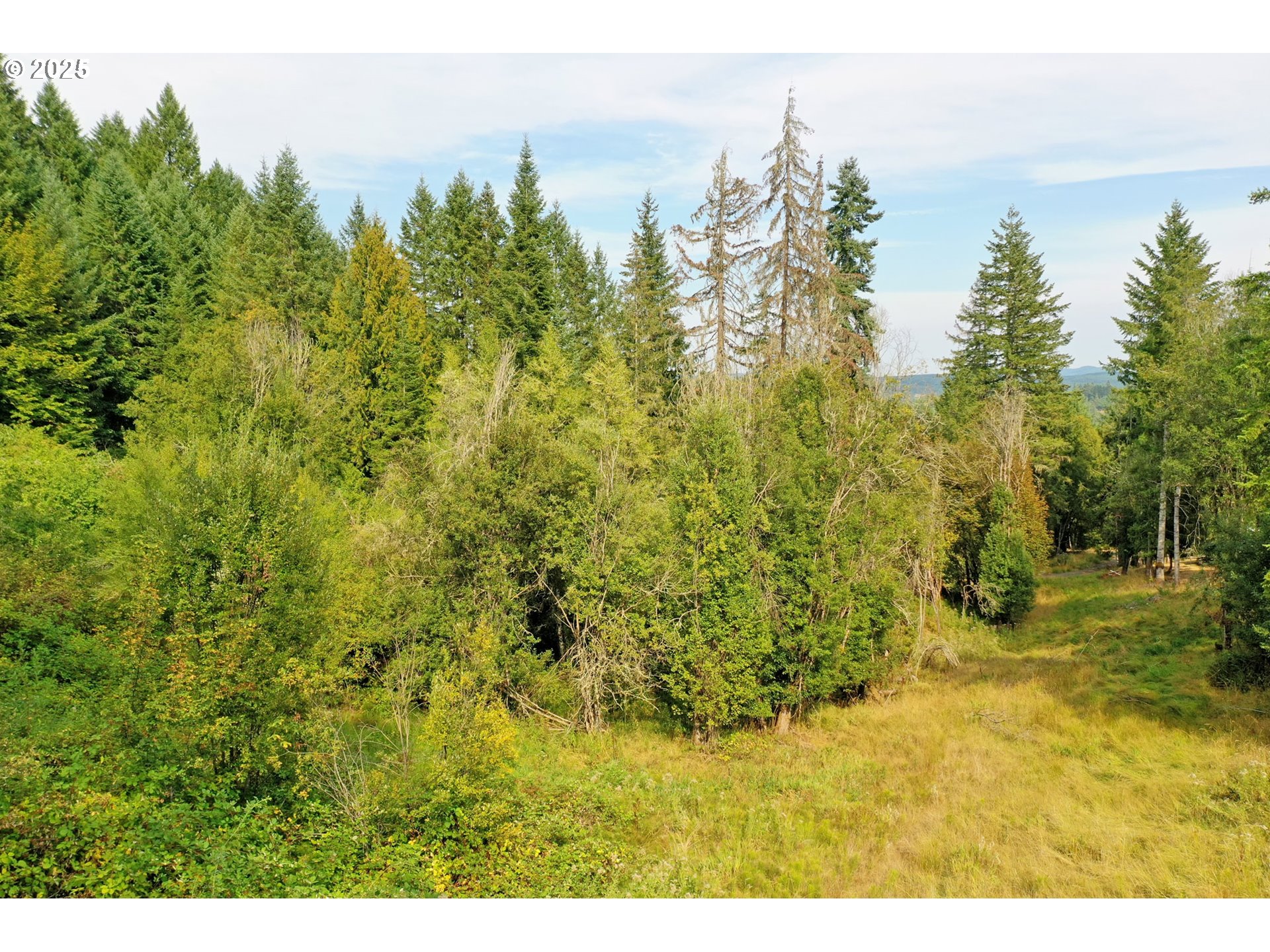 5th And 6th Street Vernonia, OR 97064 - Photo 23 of 29 a view of a yard with a tree