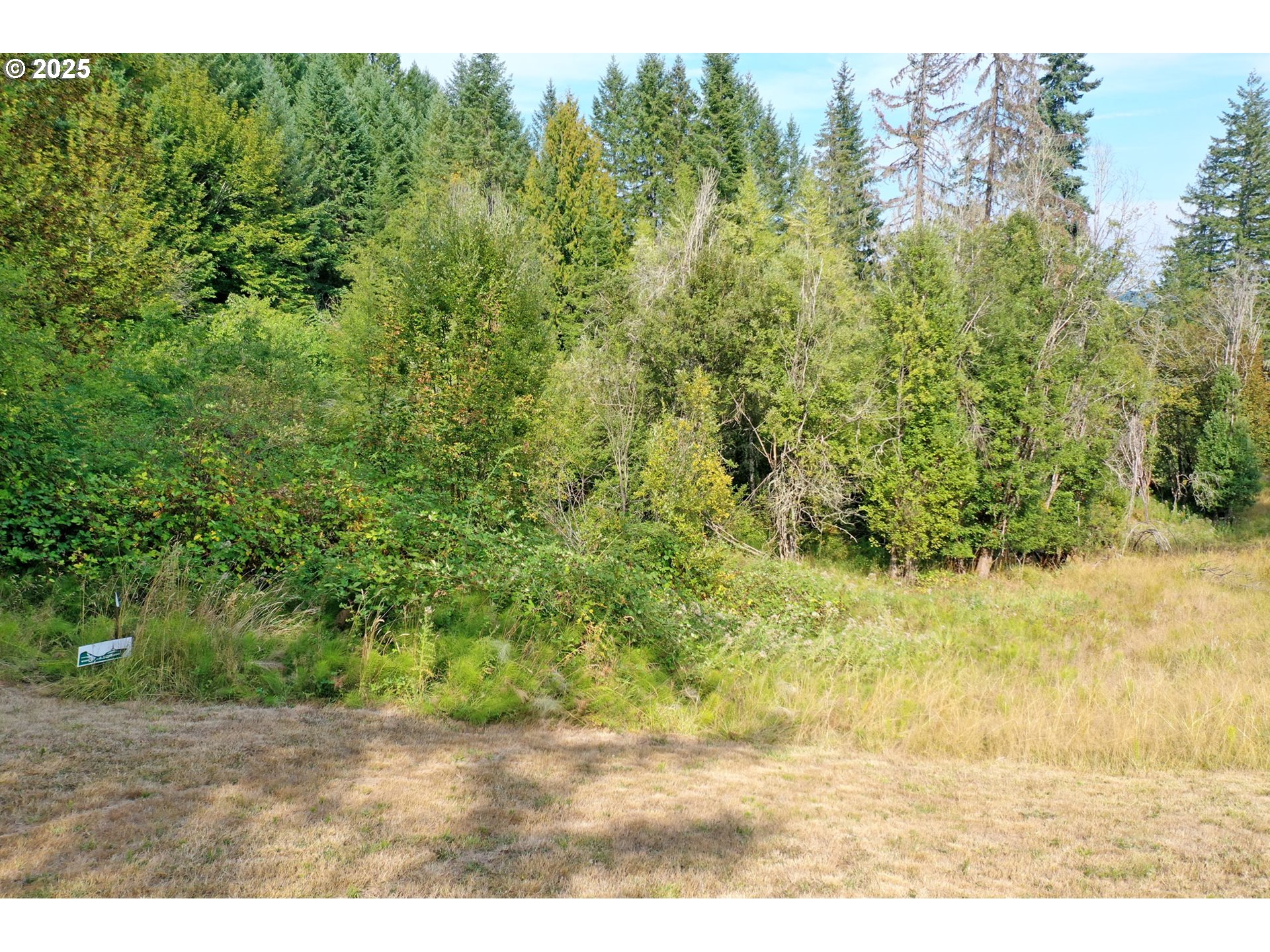 5th And 6th Street Vernonia, OR 97064 - Photo 25 of 29 a view of a yard
