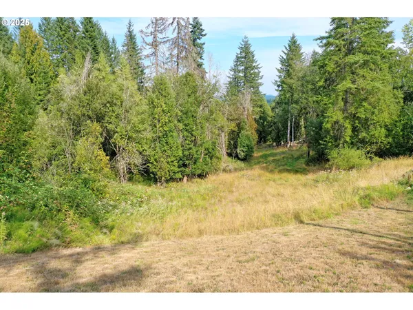 $200,000 | 5th And 6th Street, Vernonia, OR 97064