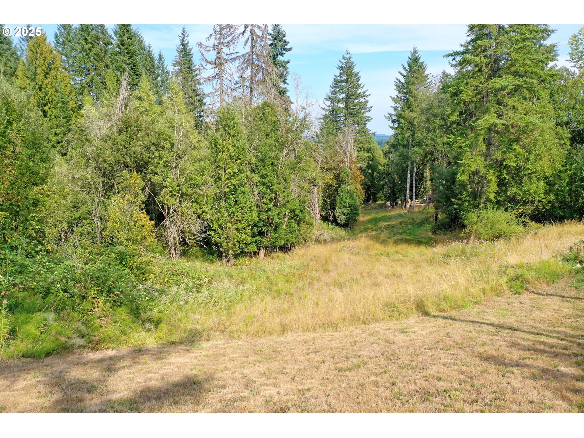 5th And 6th Street Vernonia, OR 97064 - Photo 26 of 29 a view of outdoor space and yard