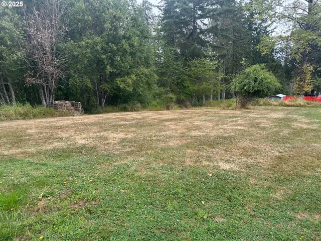 a backyard of a house with lots of green space