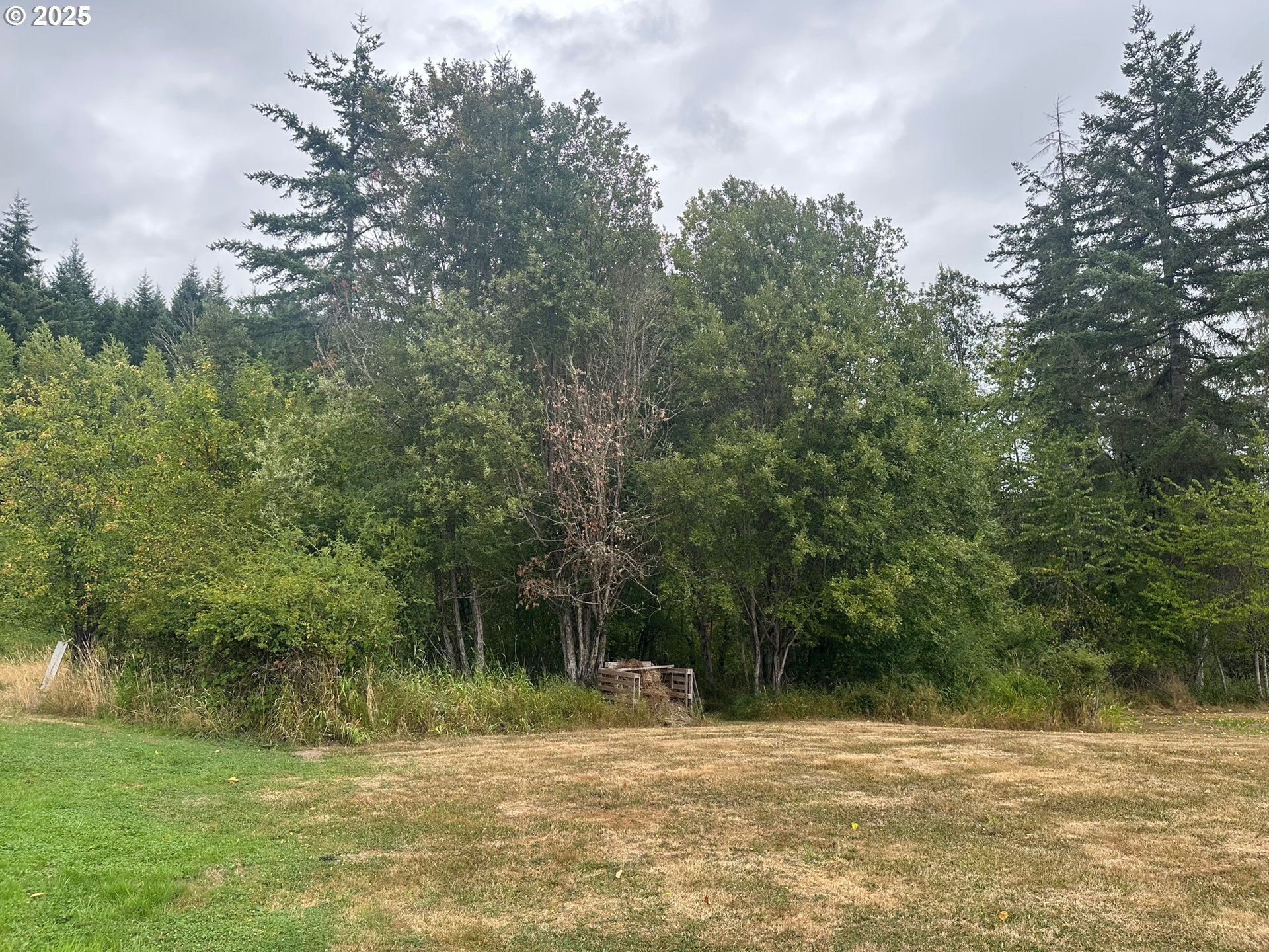 5th And 6th Street Vernonia, OR 97064 - Photo 4 of 29 a view of a lake view
