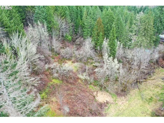 5th And 6th Street Vernonia, OR 97064 - Photo 6 of 29 a view of a yard with a tree