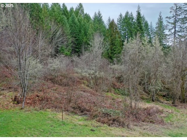 5th And 6th Street Vernonia, OR 97064 - Photo 8 of 29 a view of a yard