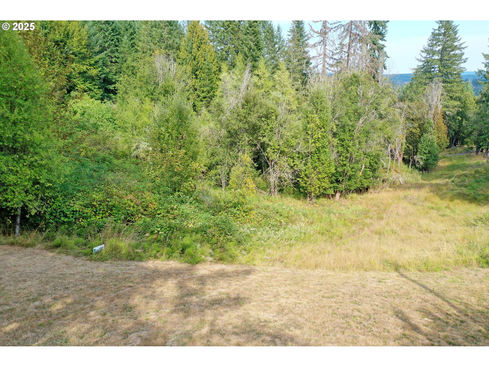 5th And 6th Street Vernonia, OR 97064 - Photo 10 of 29 a view of a yard with a tree