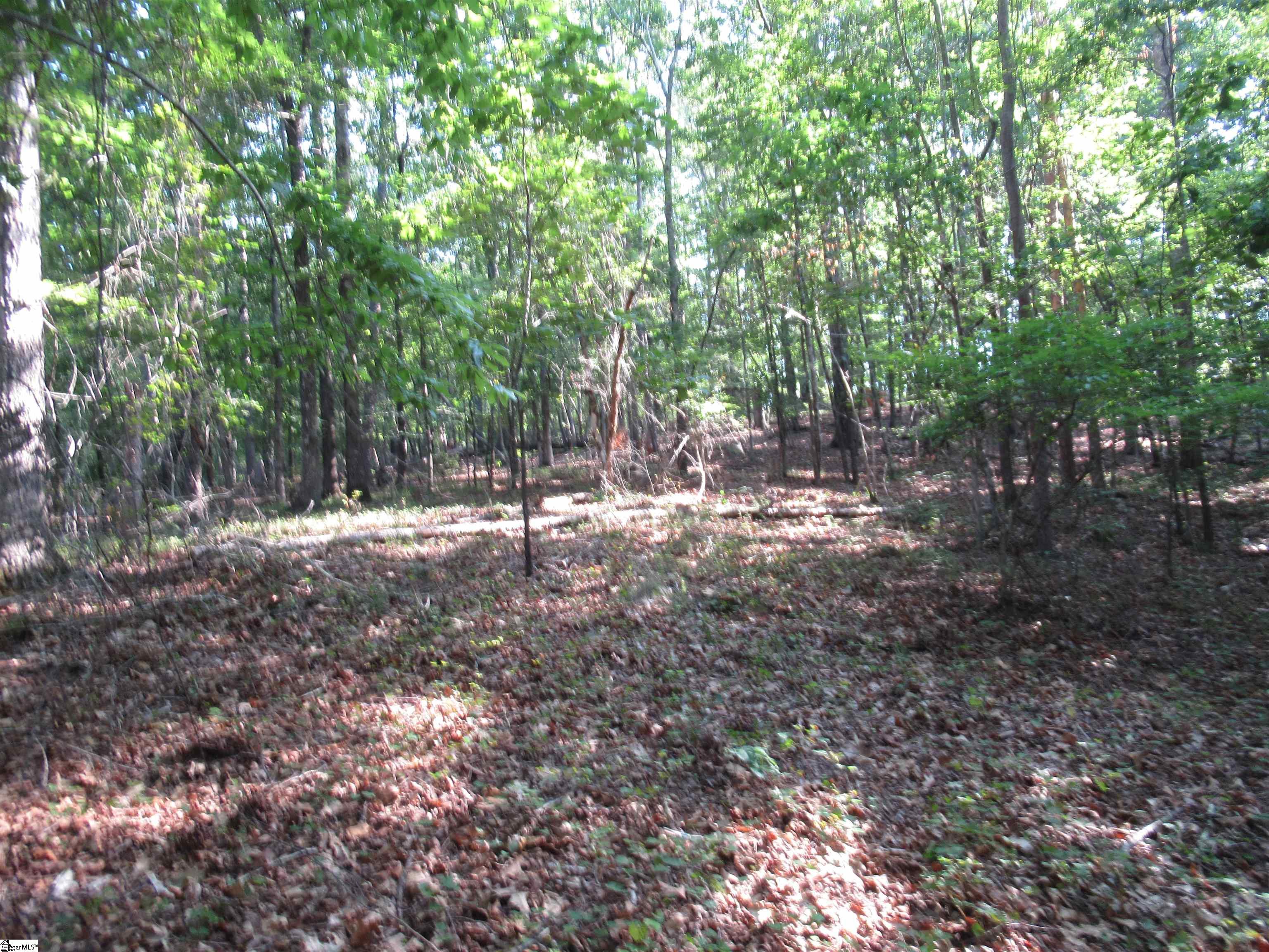 0 Murphy Road, Unit 3 2 ACRES S SIDE MURPHY RD Sunset, SC 29685 - Photo 18 of 20