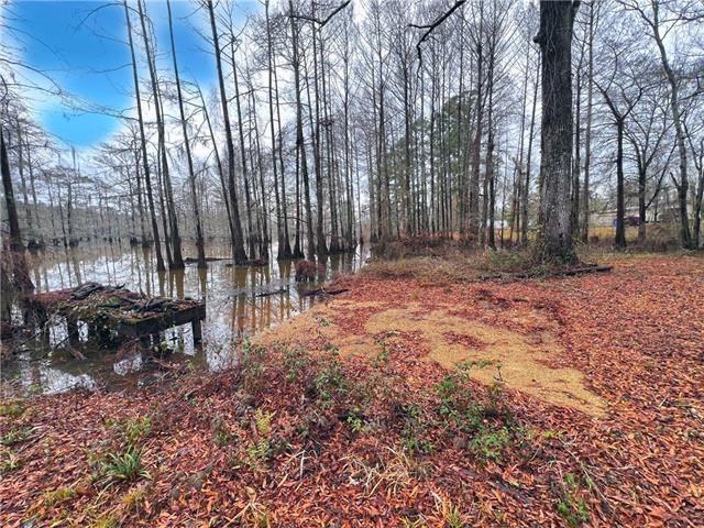 265 Pinckard Road Colfax, LA 71417 - Photo 2 of 5