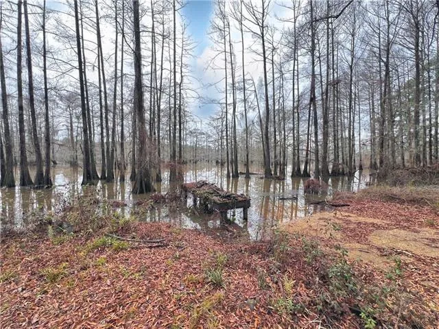$100,000 | 265 Pinckard Road, Colfax, LA 71417
