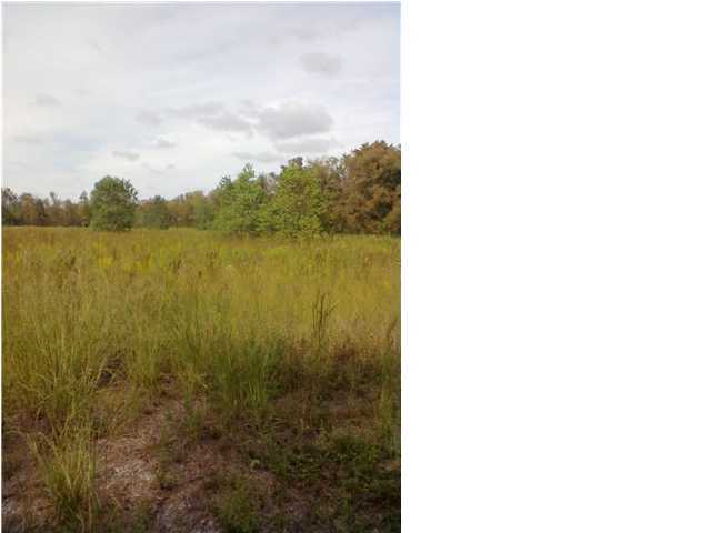 Bihm Road Church Point, LA 70525 - Photo 1 of 3 Primary Photo
