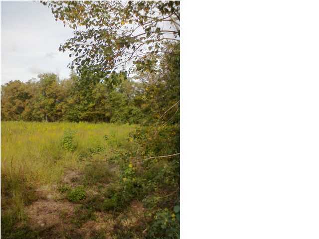 Bihm Road Church Point, LA 70525 - Photo 2 of 3 Additional Photo