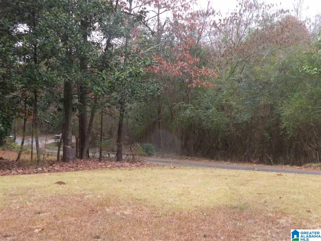2426 Lake Terrace Road Sylacauga, AL 35150 - Photo 3 of 21