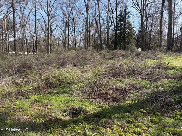$7,500 | Loom Street, Wesson, MS 39191