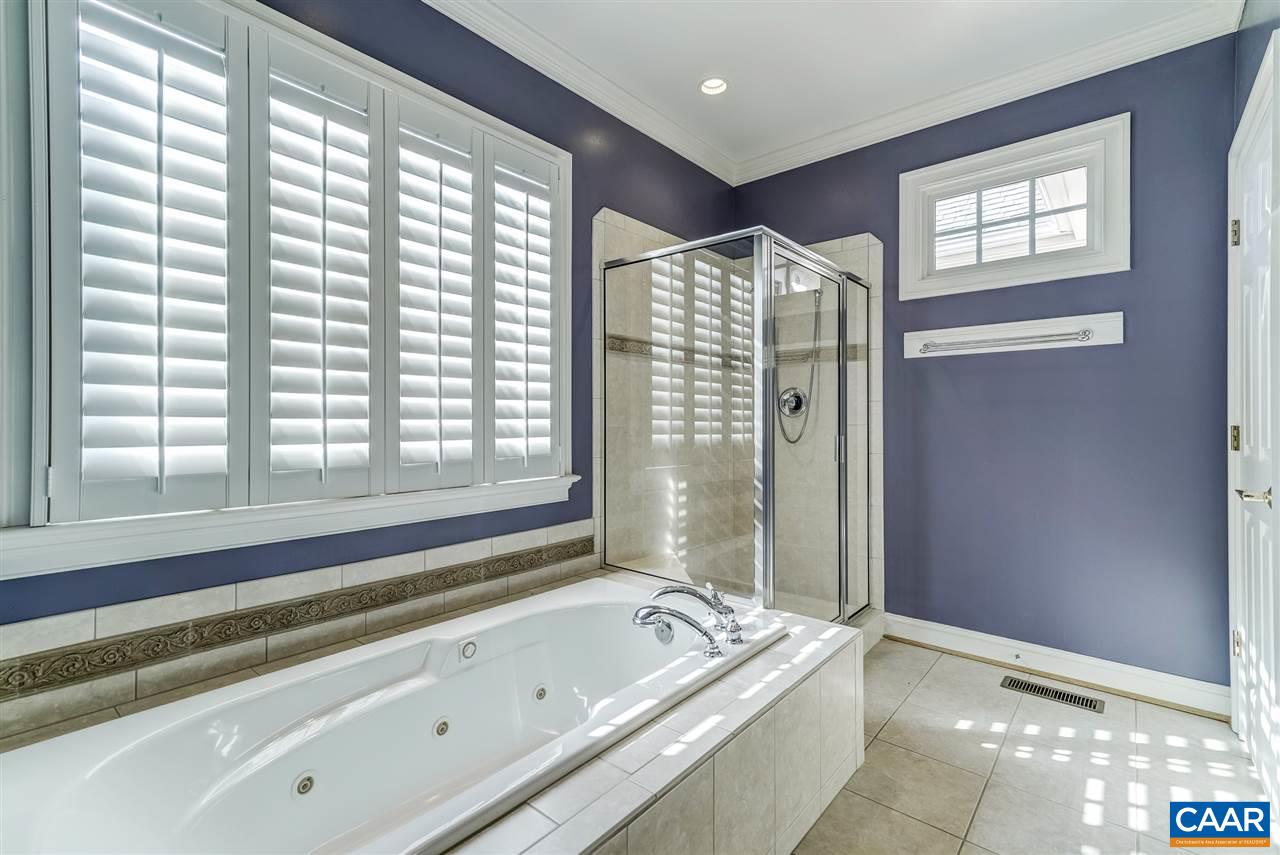 3398 Darby Road Keswick, VA 22947 - Photo 30 of 50 a bathroom with a bathtub and a shower
