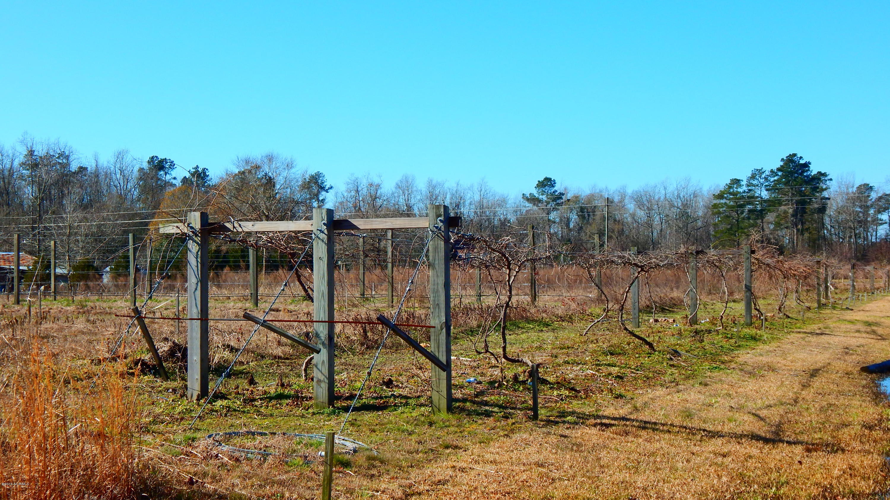 4300 Project Road Northwest Ash, NC 28420 - Photo 36 of 40 Grapevine