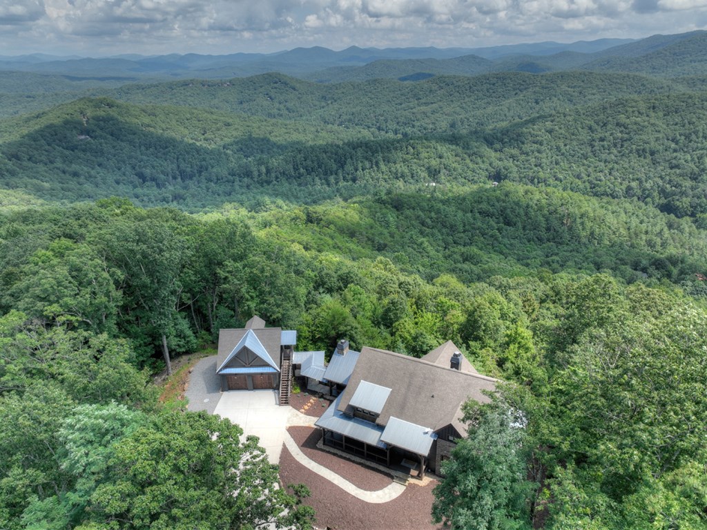 440 Cochise Road Cherry Log, GA 30522 - Photo 60 of 82 an aerial view of a house with a yard