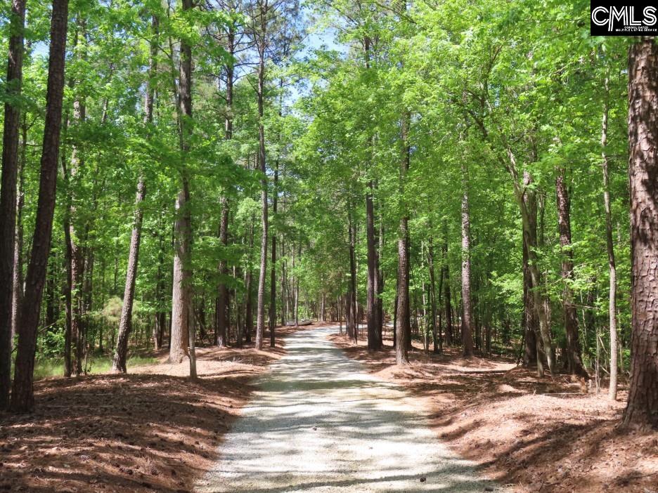 201 State Rd S-20-99 Blair, SC 29015 - Photo 27 of 61