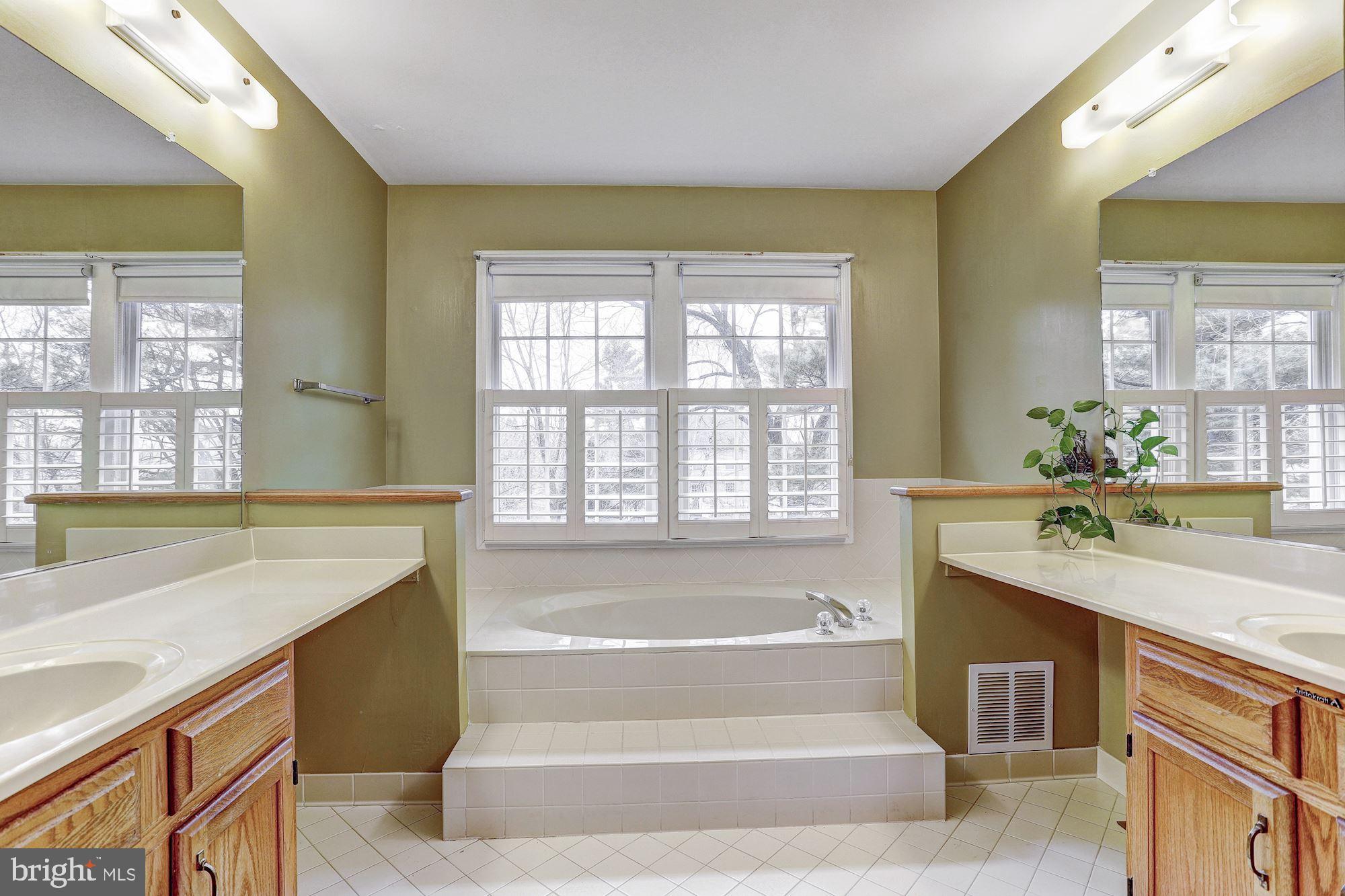 10419 Gorman Road Laurel, MD 20723 - Photo 19 of 43 Master Bath | Soaking Tub