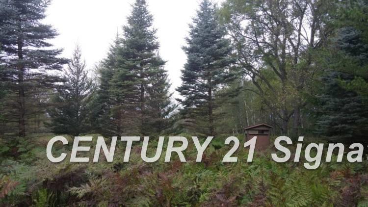 West Huron Road Au Gres, MI 48703 - Photo 21 of 21