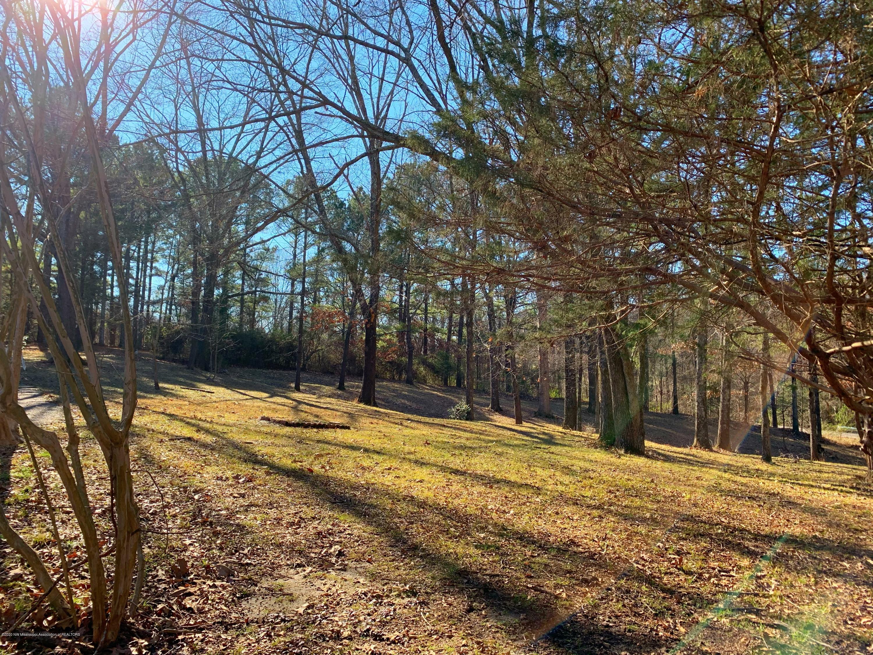 4475 Dupree Road Olive Branch, MS 38654 - Photo 5 of 31 471BFAF4-BD6D-417A-B428-0616898A4A27