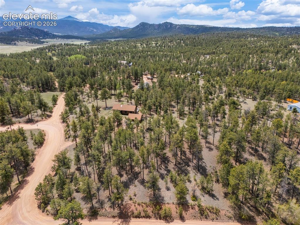 187 Thunder Ridge Road Florissant, CO 80816 - Photo 2 of 46