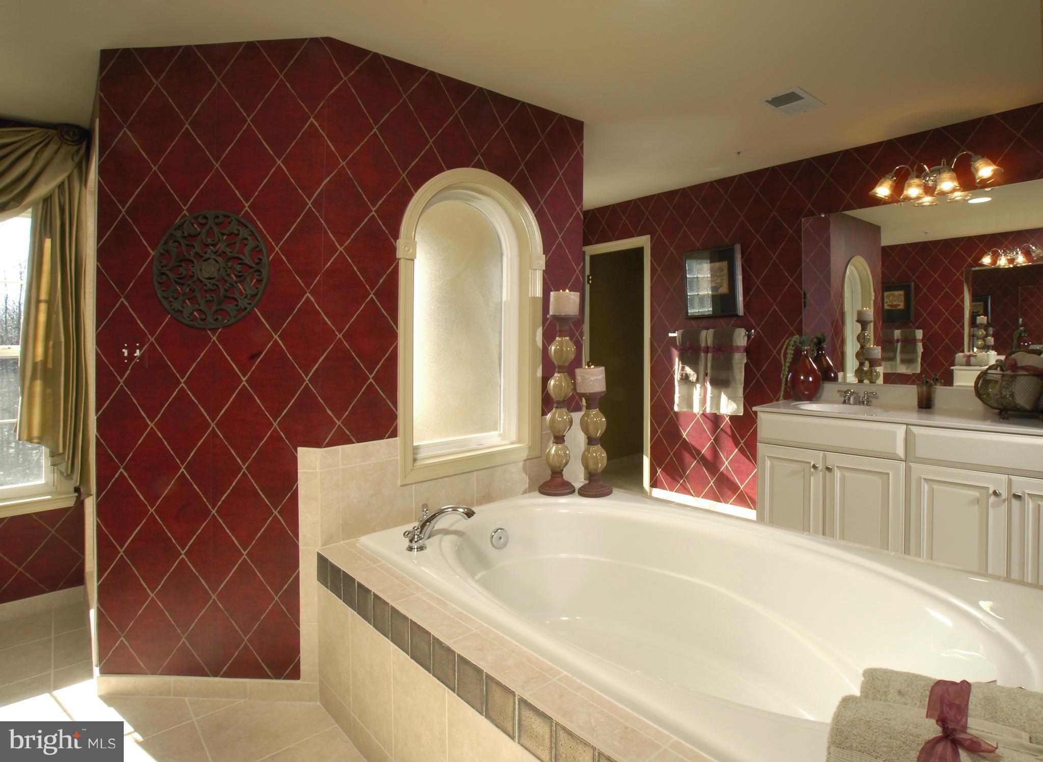 6601 Cork Tree Way Clinton, MD 20735 - Photo 15 of 19 Bath (Master)